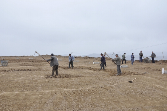 王東紅深入檢查王尹云山國家坡耕地水土流失綜合治理試點工程建設進展